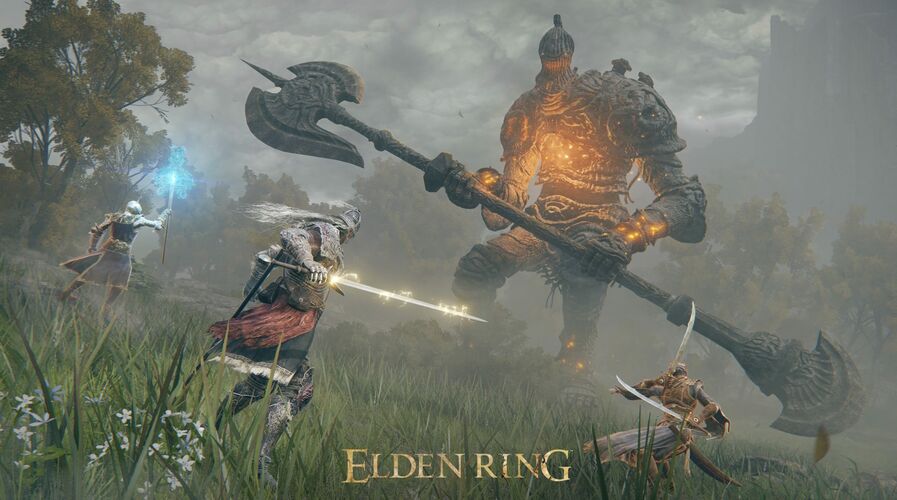 elden ring scaled c9480