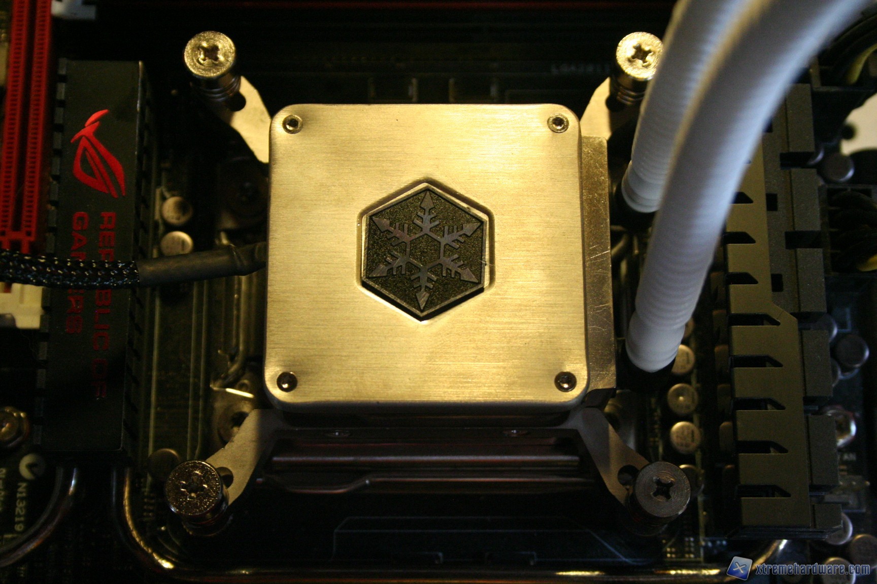 00083 TUNDRA TD03